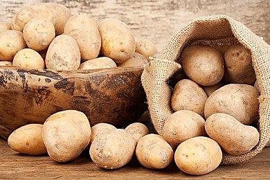 JRPG驯兽游戏《Coromon》在Steam平台发售 支持中文